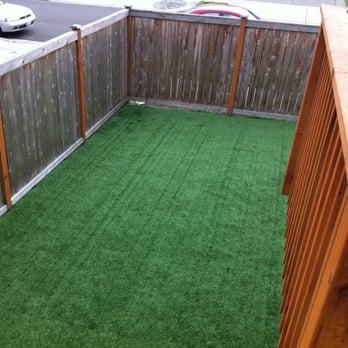 The Grass Is Greener - a view of a backyard - Landscaping Near Me - Olympia, Washington The Grass Is Greener - a view of a backyard - Landscaping Near Me - Olympia, Washington