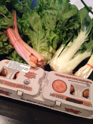 Lancaster Farm Fresh Cooperative by null