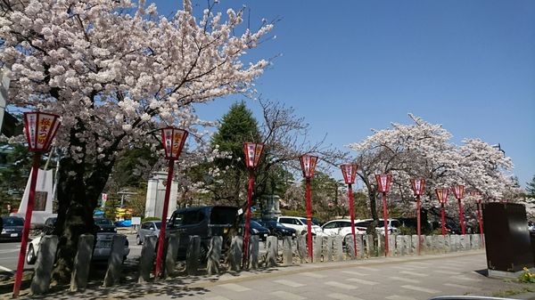 Kaiseizan Park by null