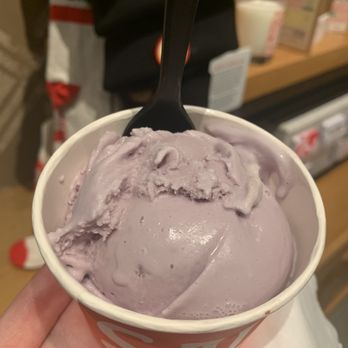 Salt & Straw - Honey Lavender - Ice Cream & Frozen Yogurt Near Me - Miami, Florida