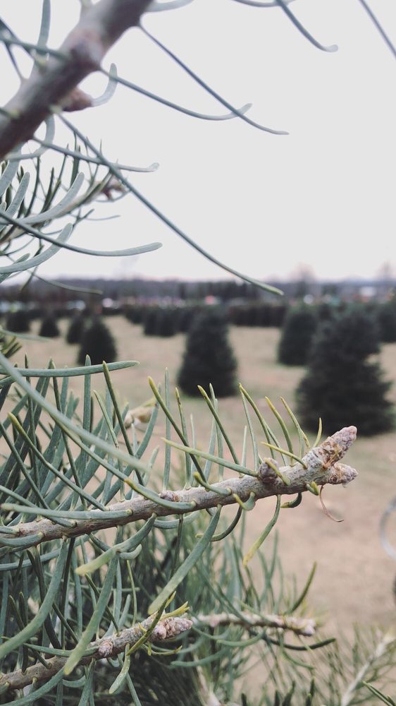 CHERRYVILLE FARMS Updated September 2024 22 Photos & 10 Reviews 352 Quakertown Rd