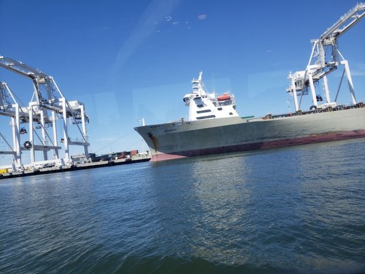 Port of Oakland by null