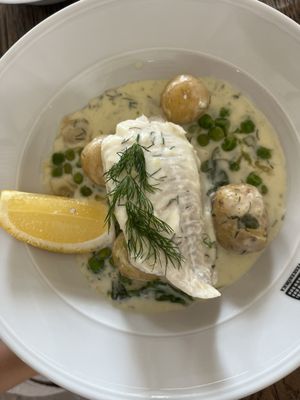Feskekörka by null