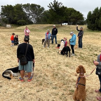 Birgit Hafermann Dog Training - Off-leash recall workshop at Point Isabel for PIDO.org - Pet Training Near Me Birgit Hafermann Dog Training - Off-leash recall workshop at Point Isabel for PIDO.org - Pet Training Near Me