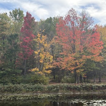 Maple Bear Campground - Fall in the northwoods - Bars Near Me - Tomahawk, Wisconsin