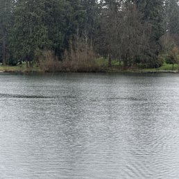Lake.