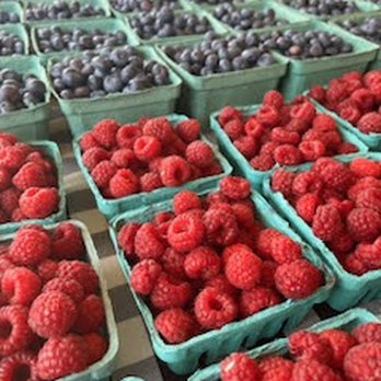 Farmers Daughter - local berries - Farmers Market Near Me - Otisville, New York