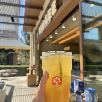 Chagee Modern Teahouse - Jasmine Green Citrus teafresher - Tea Rooms Near Me - San Diego, California Chagee Modern Teahouse - Jasmine Green Citrus teafresher - Tea Rooms Near Me - San Diego, California