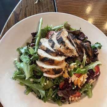 Patricks 1481 - 1481 Salad - Comfort Food Near Me - Sarasota, Florida Patricks 1481 - 1481 Salad - Comfort Food Near Me - Sarasota, Florida