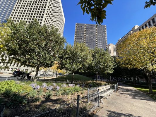 Civic Garden by null