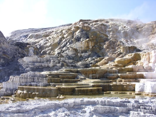 Mammoth Hot Springs by null