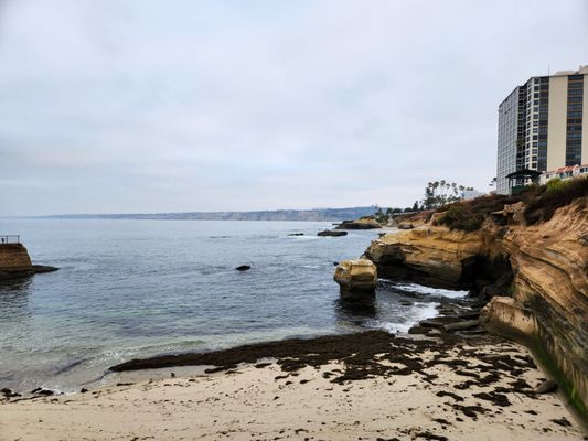 Lifeguard La Jolla Cove by null