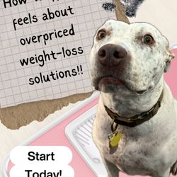Jay’s Weight-loss & Infusion Solutions