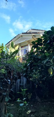 Manoa Valley Inn by null