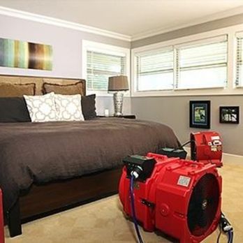 Bedbugsbegone - Pest Control Near Me Bedbugsbegone - Pest Control Near Me