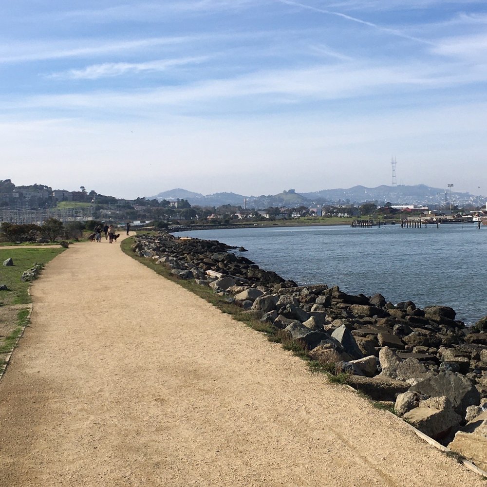 Heron's Head Park - Path and Sutro Tower n the distance - Parks Near Me Heron's Head Park - Path and Sutro Tower n the distance - Parks Near Me