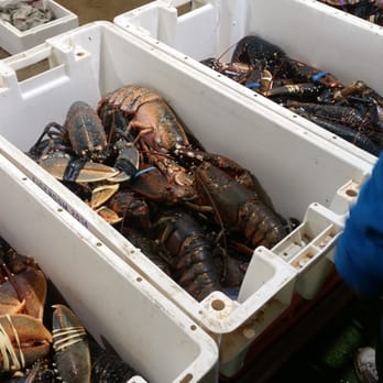 Billingsgate Fish Market - Seafood Markets Near Me - London, XGL Billingsgate Fish Market - Seafood Markets Near Me - London, XGL