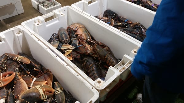 Billingsgate Market by null