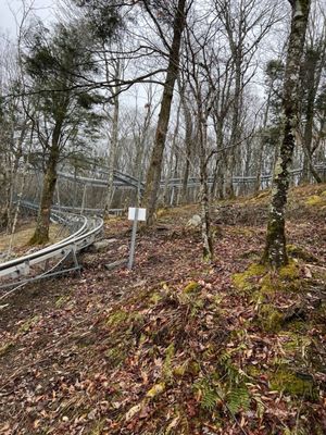 Wilderness Run Alpine Coaster by null