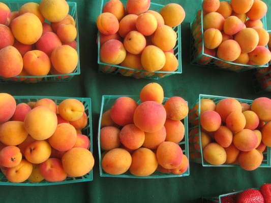 Willow Glen Farmers' Market by null