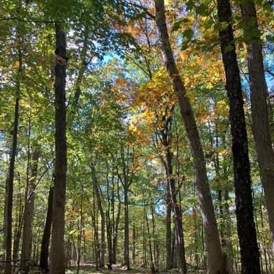 Hamburg Fitness Center & Camp