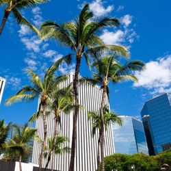 Hawaii Kai VIP 