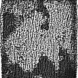 ITHACA CREMATION SERVICE - this image has occurred and cannot be undone