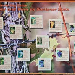 Stettener Stein - Regionale Sorten (04/2019)