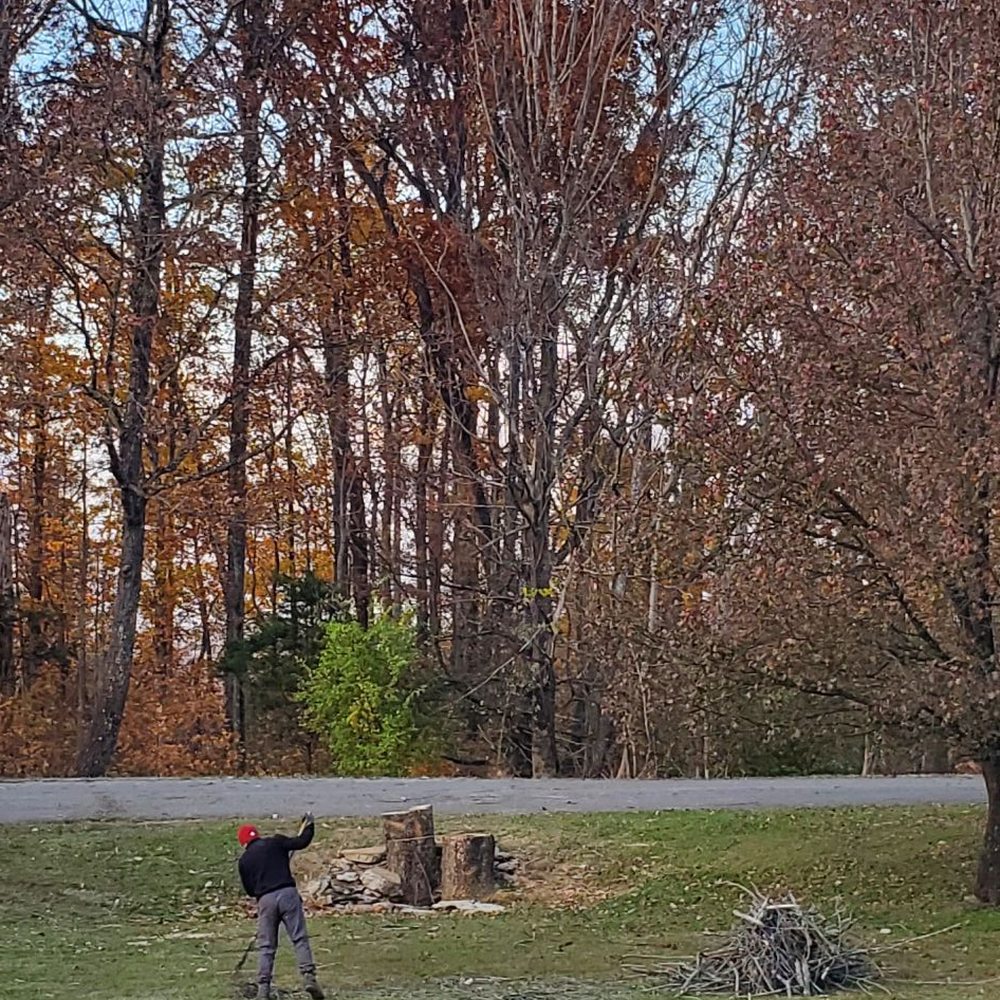 M & M Tree Service - Tree's are gone, yard is clean. - Tree Services Near Me - Cookeville, Tennessee