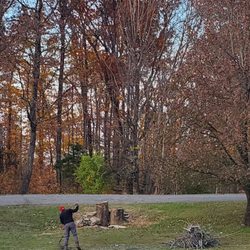 M & M Tree Service - Tree's are gone, yard is clean.