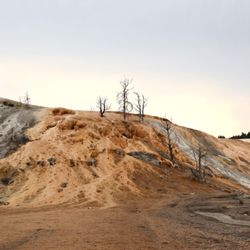 Yellowstone National Park - Mammoth Hot Springs