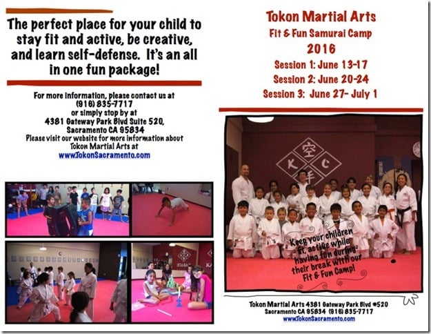 Tokon Fit and Fun Samurai Summer Camp Logo