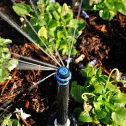 Andy's Sprinkler, Drainage & Lighting