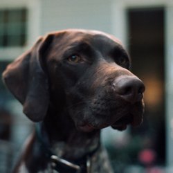 Southeastern Camera - One of the photos I took on my Nikon FG, color corrected by Jamey