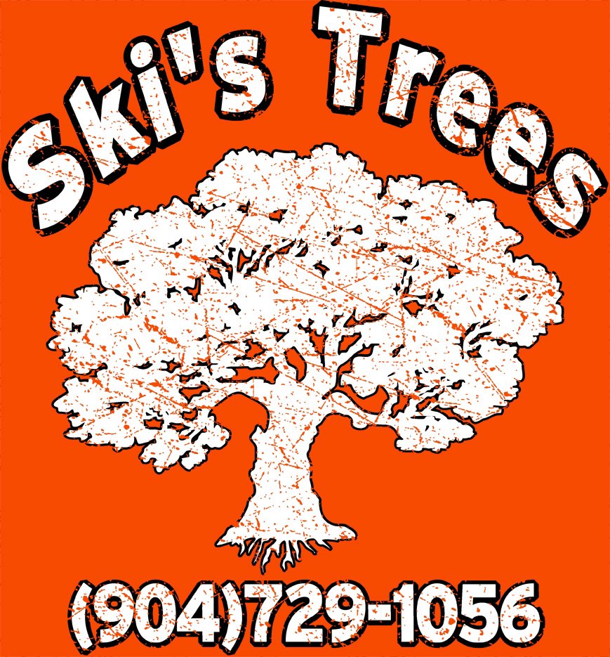 SKI’S TREES LLC Updated August 2024 18 Photos Jacksonville