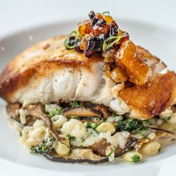 Market Catch