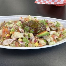 Octopus