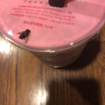 Ding Tea Westminster - A fly in my drink, which is unacceptable - Bubble Tea Near Me - Westminster, California Ding Tea Westminster - A fly in my drink, which is unacceptable - Bubble Tea Near Me - Westminster, California