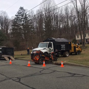 Leo's Tree Service - Tree Services Near Me - Little Falls, New Jersey Leo's Tree Service - Tree Services Near Me - Little Falls, New Jersey