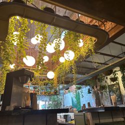 Bar area