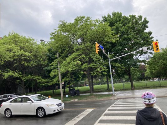 David Crombie Park by null