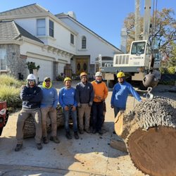 Ian Geddes Tree Care - The Crew that makes the magic happen.