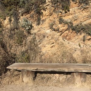 Berkeley Fire Trails on Yelp