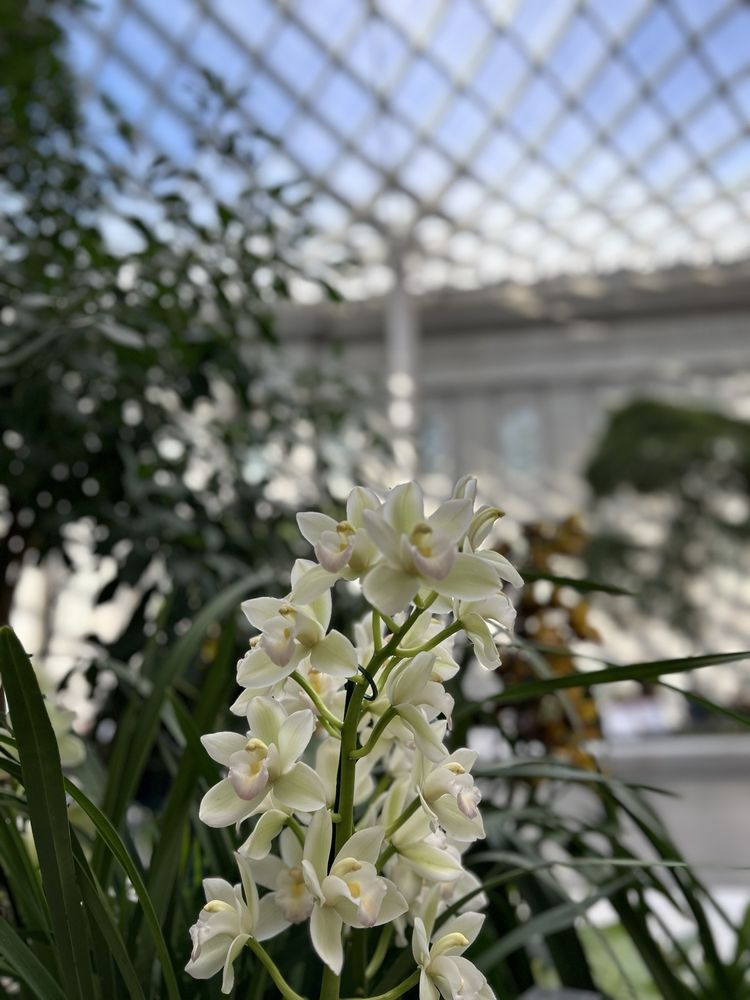 Robert and Arlene Kogod Courtyard