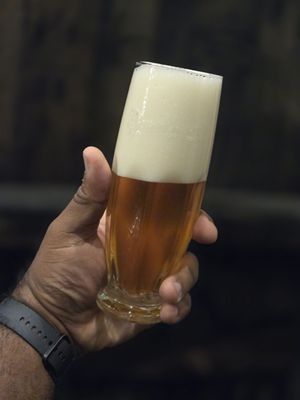 Pilsner Urquell Brewery by null