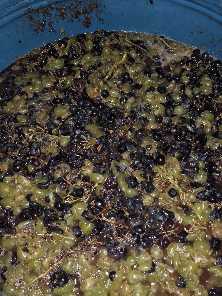 SANTA FE GRAPE DISTRIBUTORS Updated October 2024 3500 S Racine Ave