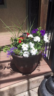 Derby Grille by null