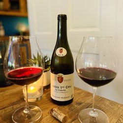 Kitty Dare - Amazing wine list