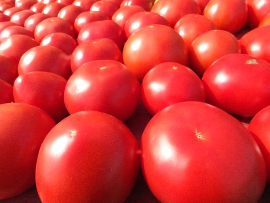 McCutcheon/Mount Vernon Farmers Market by null