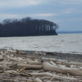Evangola State Park - Driftwood for your crafts? - Beaches Near Me - Irving, New York